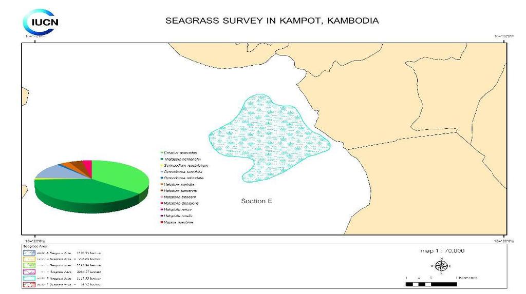 Detailed map: Cut Section E Species Composition: Cymodocea rotundata, Cymodocea serrulata, Halodule pinifolia, Halodule
