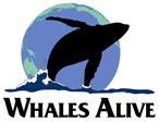 Consortium (SPWRC) since 1993 1994 Tongan Government requests assistance to manage the development of whale