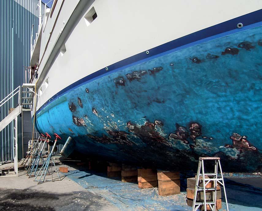 They told us it was very hard, very tough and you don t need to put antifouling on it.
