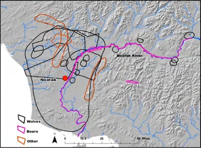 Major Findings 5 The highest number of negative encounters between local and non-locals also happened within areas of caribou fall migration river crossings.