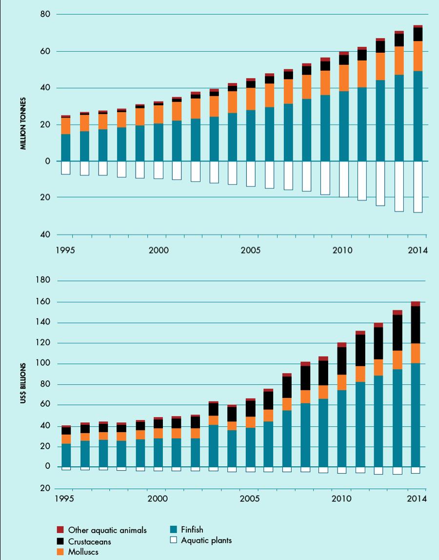 World Aquaculture Production Volume and
