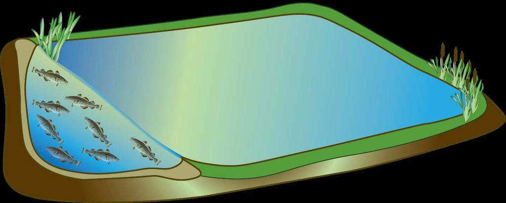 Page 9 Figure 5. Example of an earthen pond system.