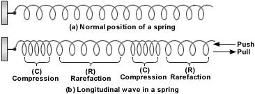 Name: Section: Date: Types of waves: 1.