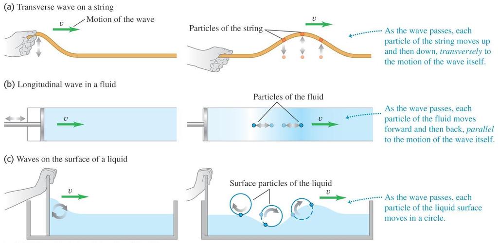 Tpes of mechanical waves A mechanical wave is a disurbance raveling hrough a medium.