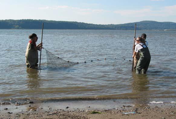Fish Communities in the Hudson: ANSWER KEY Fish Communities in the Hudson Many kinds of fish live in the Hudson.