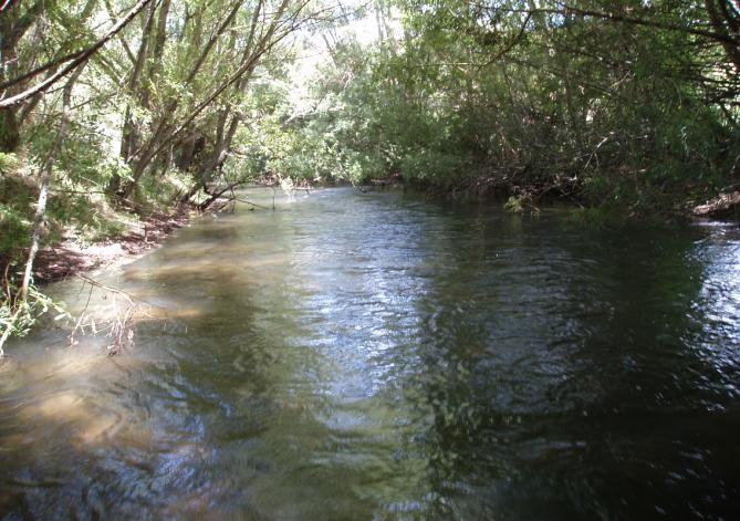 Figure 3.3: Uniform run in the willow lined channel of Oraka Stream at Lake Road (Section 9 top left Section 1 top right).