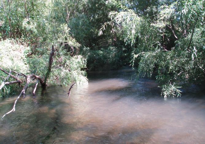 The Mangawhero Stream is another left bank tributary of the Waihou that drains mainly pasture catchment (Fig. 3.4).