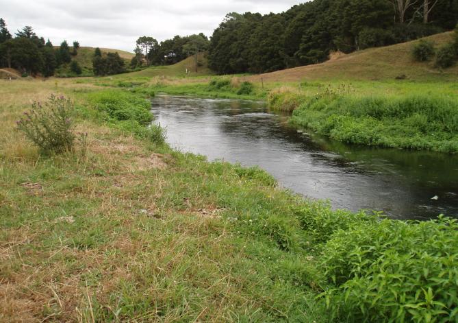 The stream was surveyed below the Tauranga Road on 1 February 2008.