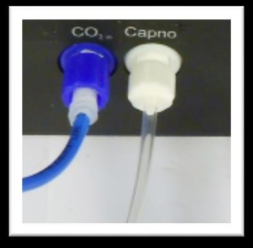 Capnography (Side-stream End Tidal CO2) The VitalsBridge is configured for simulating side-stream capnography. Capnography is the measurement of patients exhalation of CO 2.
