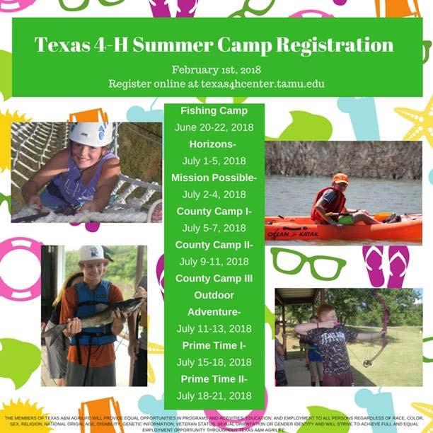 17 Atascosa 4-H will attend County Camp