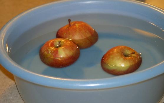 5E esson Plan No. INTODUCTOY CONCEPTS. Topic: Statics Engage: Take a basin of water and some apples into class. Invite a couple of students to do some apple bobbing, i.e. trying to grab the apples with their teeth.