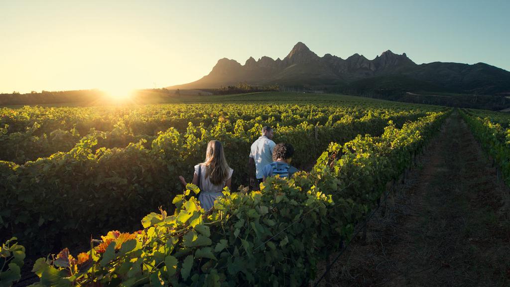 The Stellenbosch and Franschhoek Winelands The fertile green valleys of the Cape Winelands, origin of some of the world's most popular wines, is a must see experience in close proximity to Cape Town.