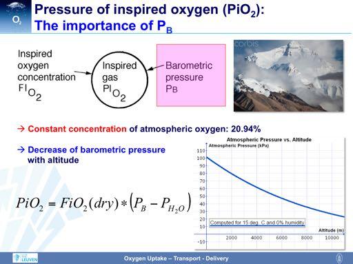 As already described, the PiO 2 is not only dependent upon the FiO 2, but also on the barometric pressure (P B ).