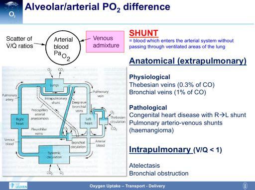 Admixture of venous blood to arterial blood is another contributor to the ΔAaPO 2. Venous admixture can be caused by anatomical/extrapulmonary shunts, e.g.