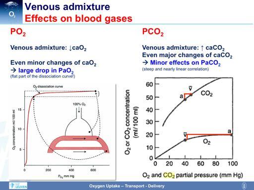 The venous admixture has a significant impact on oxygenation. Of note, the relationship between arterial oxygen content and PaO 2 follows a sigmoidal shape.