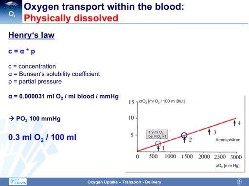 Within the blood, oxygen is transported in two ways: 1) Dissolved in plasma (as phsyical solution) 2) Chemically bound to hemoglobin within the erythrocytes.