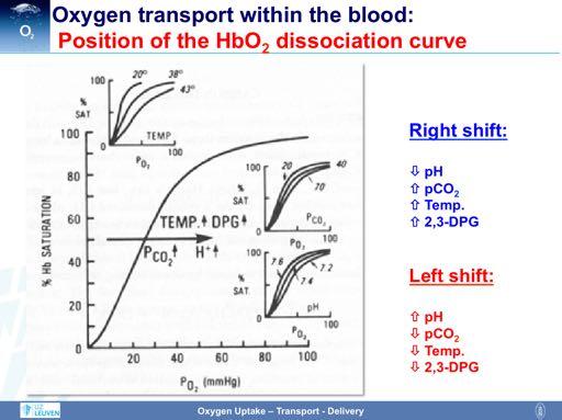 The position of the hemoglobin dissociation curve can be shifted by several variables.
