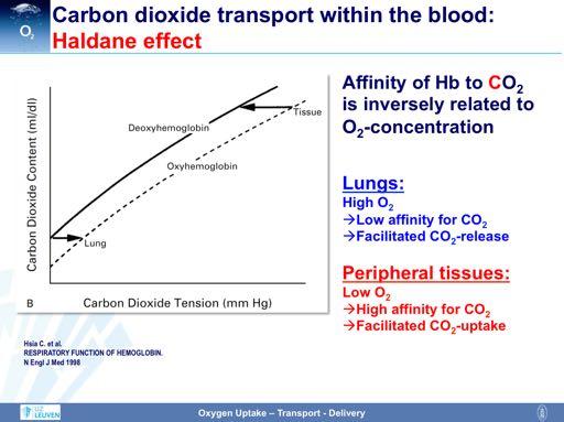 Of note, hemoglobin does not only transport oxygen, but also carbon dioxide.