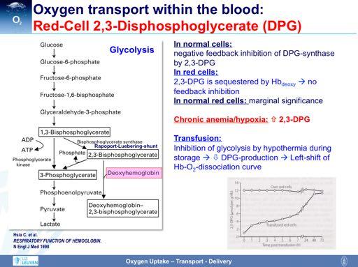 Given the absence of mitochondria within erythrocytes, red-cell metabolism depends solely on glycolysis, and 2,3- bisphosphoglycerate is a normal metabolic intermediate.