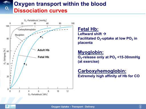 Of note, different hemoglobin molecules are characterized by different dissociation curves.