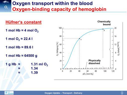 The oxygen binding capacity of hemoglobin is represented by Hüfner s constant. Hüfner s constant describes how much oxygen (in ml) can be transported by 1g of hemoglobin.
