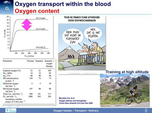 As you can easily see from the formulas for the calculation of oxygen content, the hemoglobin concentration has a huge impact on oxygen content.