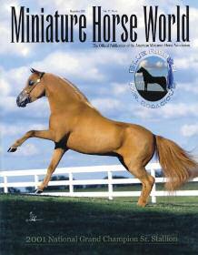 Then they call out the National Grand Champion Senior Stallion for 2001, and it was Blue Ribbon Mr. Bodacious! My head was spinning, my knees were weak and I had to move to accept the award.