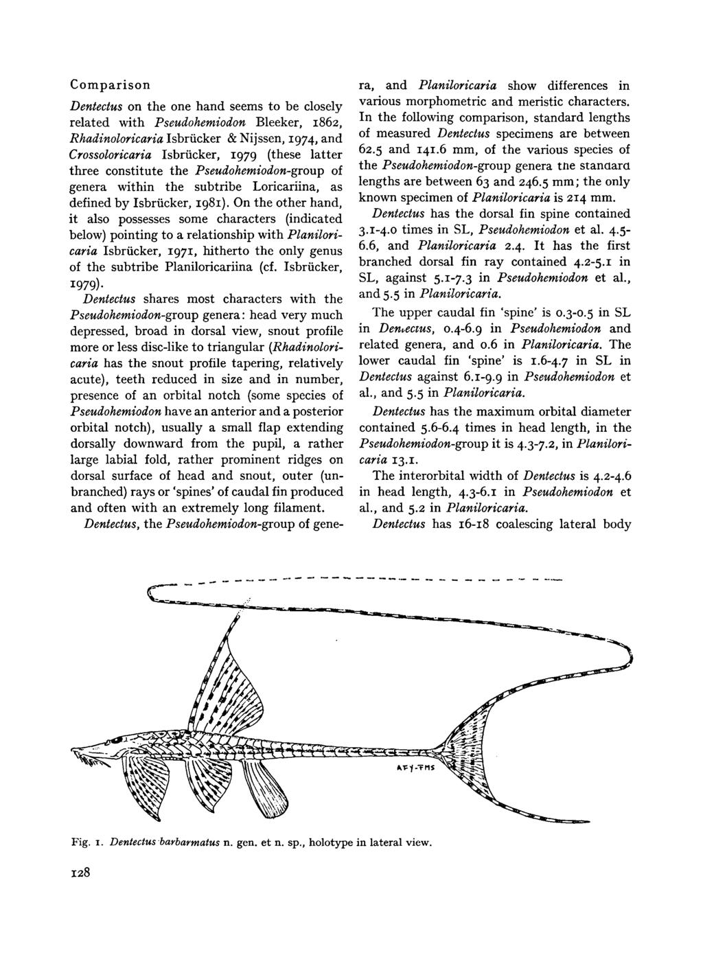 Comparison Dentectus, the Pseudohemiodon- group of genera, and Planiloricaria show differences in Dentectus on the one hand seems to be closely related with Pseudohemiodon Bleeker, 1862,