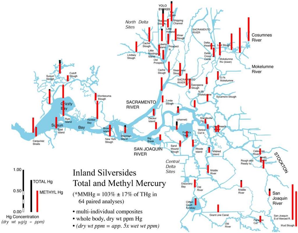 Fall 1999 UC Davis Silversides Established clear, regional pattern: elevated periphery,