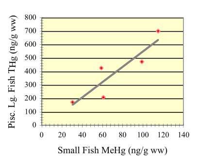 Linkage to Large Fish Mercury Temporally pooled site