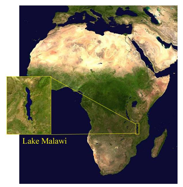9. FIGURES Figure 1. Lake Malawi, Lake Tanganyika, and Lake Victoria make up the East African Rift lakes. These lakes are the result of tectonic activity in southeast Africa.