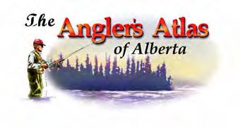 Fish Species (Captured during surveys) sport fish Burbot Lake Whitefish Northern Pike Walleye Yellow Perch The Angler s Atlas server is hosted by Borealis Internet and bcinterior.