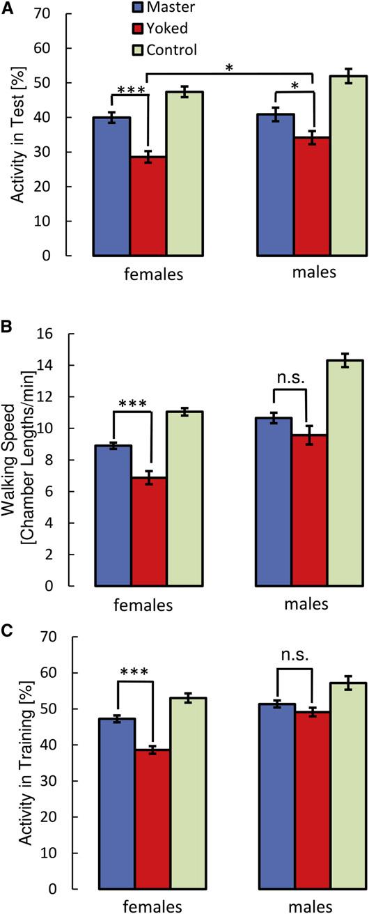 Current Biology Vol 23 No 9 802 been from females. The walking behavior of males in the heat box is quite similar.