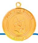 COURSE TITLE Silver Medallion Aquatic Rescue PRE - REQUISITES 16 years + Proficient in Bronze Medallion Provides participants with advanced skills and knowledge to effectively coordinate search and
