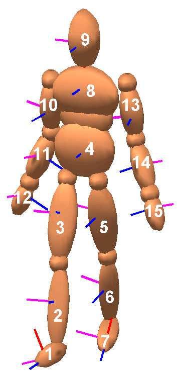 First the human joint angles are computed from the markers coordinates and applied directly to the robot kinematics model.