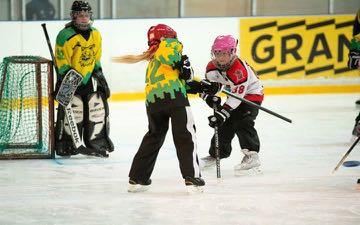 What s New? BOUNDARY REVIEW: As you are aware, Ringette Calgary is divided into 4 quadrants. These quadrant boundaries were established many years ago, and have not been reviewed or revisited.