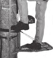 the tree strap bracket. (See Fig.1 and Fig. 2.) Ensure that the strap is not twisted and is laying flat against the tree.