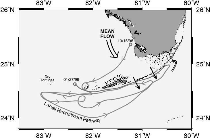 Figure 9. Satellite drifter track #23113 demonstrating complexity of currents in the Florida Keys.