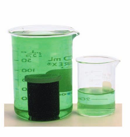 The liquid in the beaker is water with green food coloring. The density of water is 1 g/cm 3.