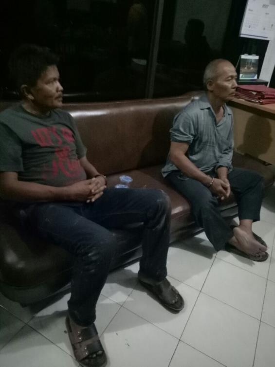 This resulted in the arrest of two illegal wildlife traders, one from Solok district of West Sumatra and a second trader from the Duri area of Riau province of eastern Sumatra (see right) and seizure