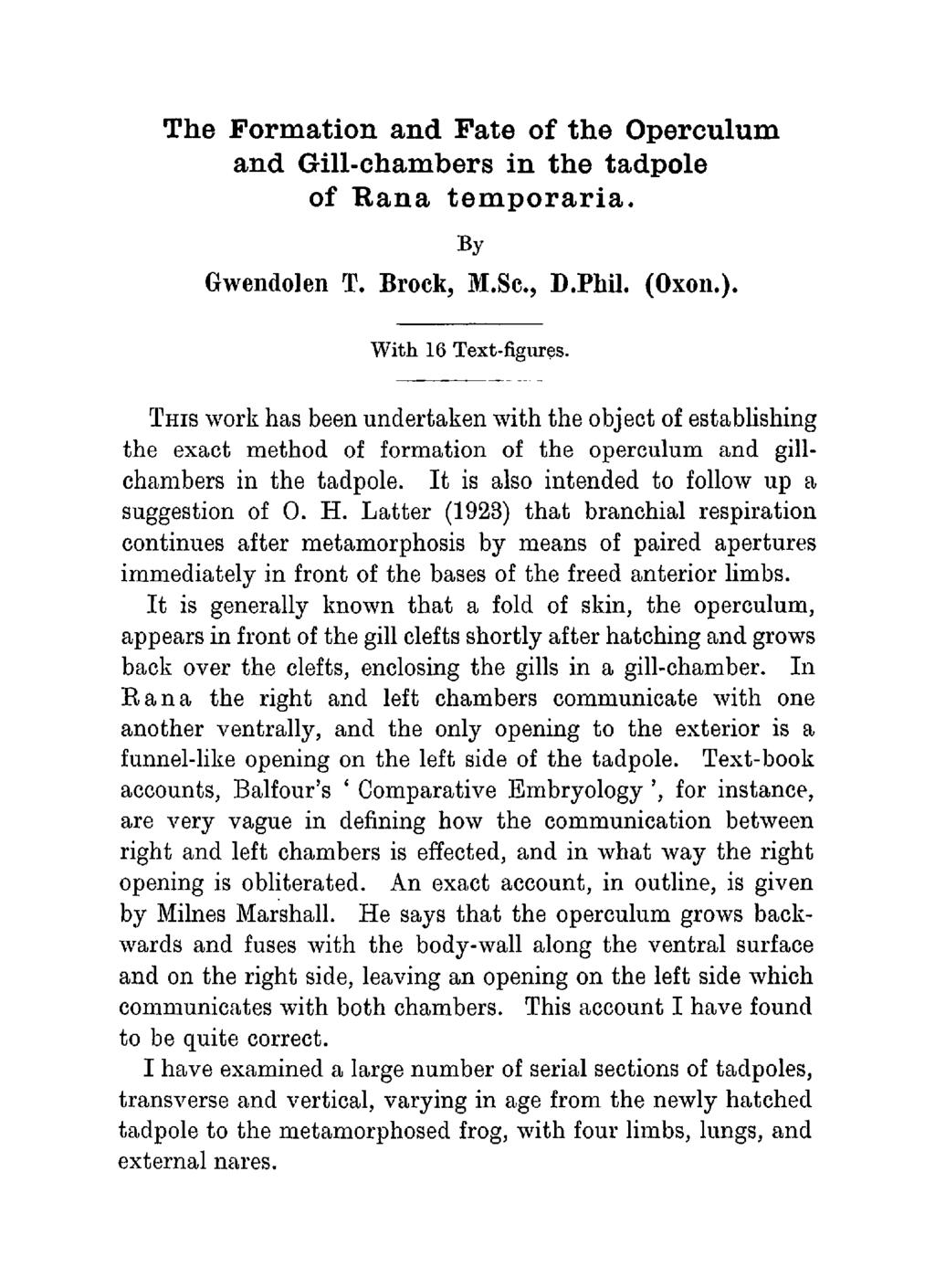The Formation and Fate of the Operculum and Gill-chambers in the tadpole of Rana temporaria. By Gwendolen T. Brock, M.Sc, D.PM1. (Oxon.). With 16 Text-figures.