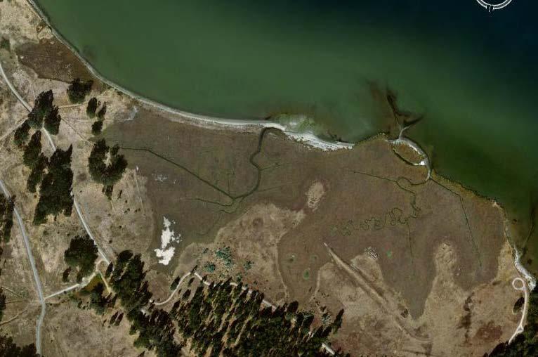 Whittell Marsh, Point Pinole Richmond (EBRPD) Shoreline profile response to high wind-wave energy with local