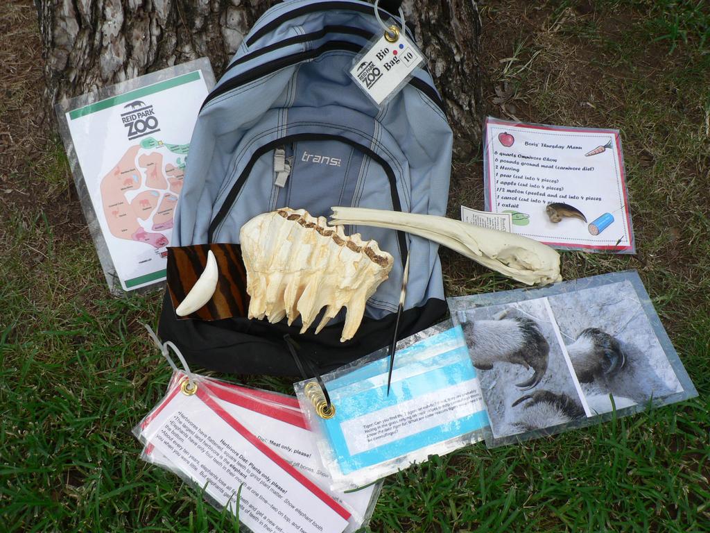 What is a Bio Bag? A Bio Bag is an easy-to-use tool that helps teachers focus and enhance a self-guided zoo tour for their students.