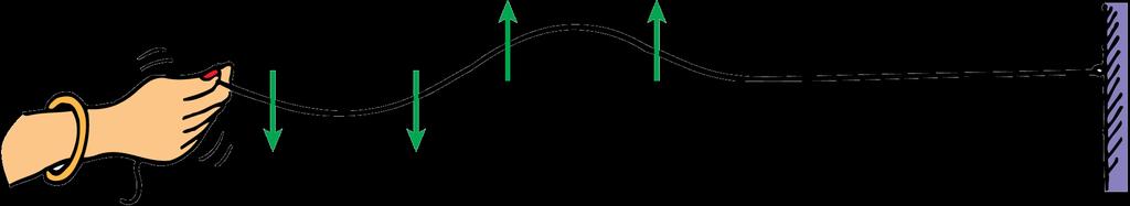 25.5 Transverse Waves Suppose you create a wave along a rope by shaking the free end up and down.