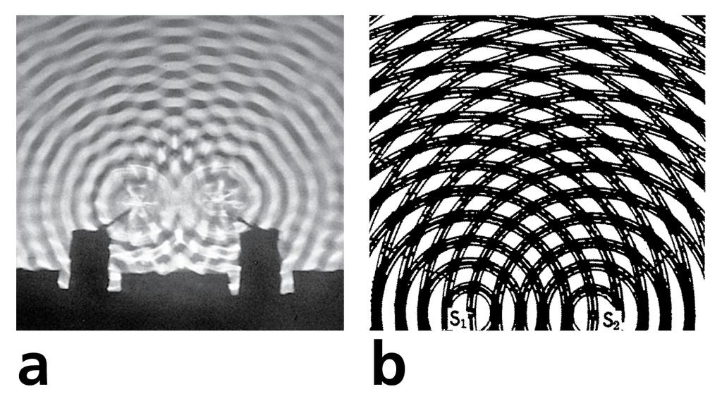 25.7 Interference a. Two overlapping water waves produce an interference pattern. b.