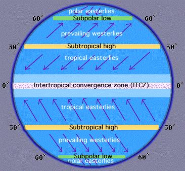 Global Winds Tropical Easterlies (it is also called Trade wind) is moving from high pressure zone of about 30º latitudes to the equator. Coriolis effect creates its wind direction.