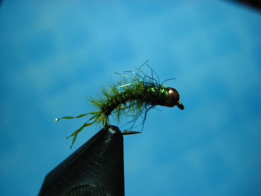 Newsletter of the Truckee River Flyfishers Page 5 FUSION NYMPH The Fusion Nymph is a fast and easy fly to tie.