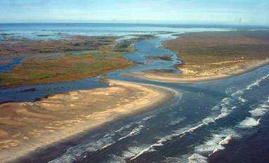 Estuaries Estuaries are formed where fresh water