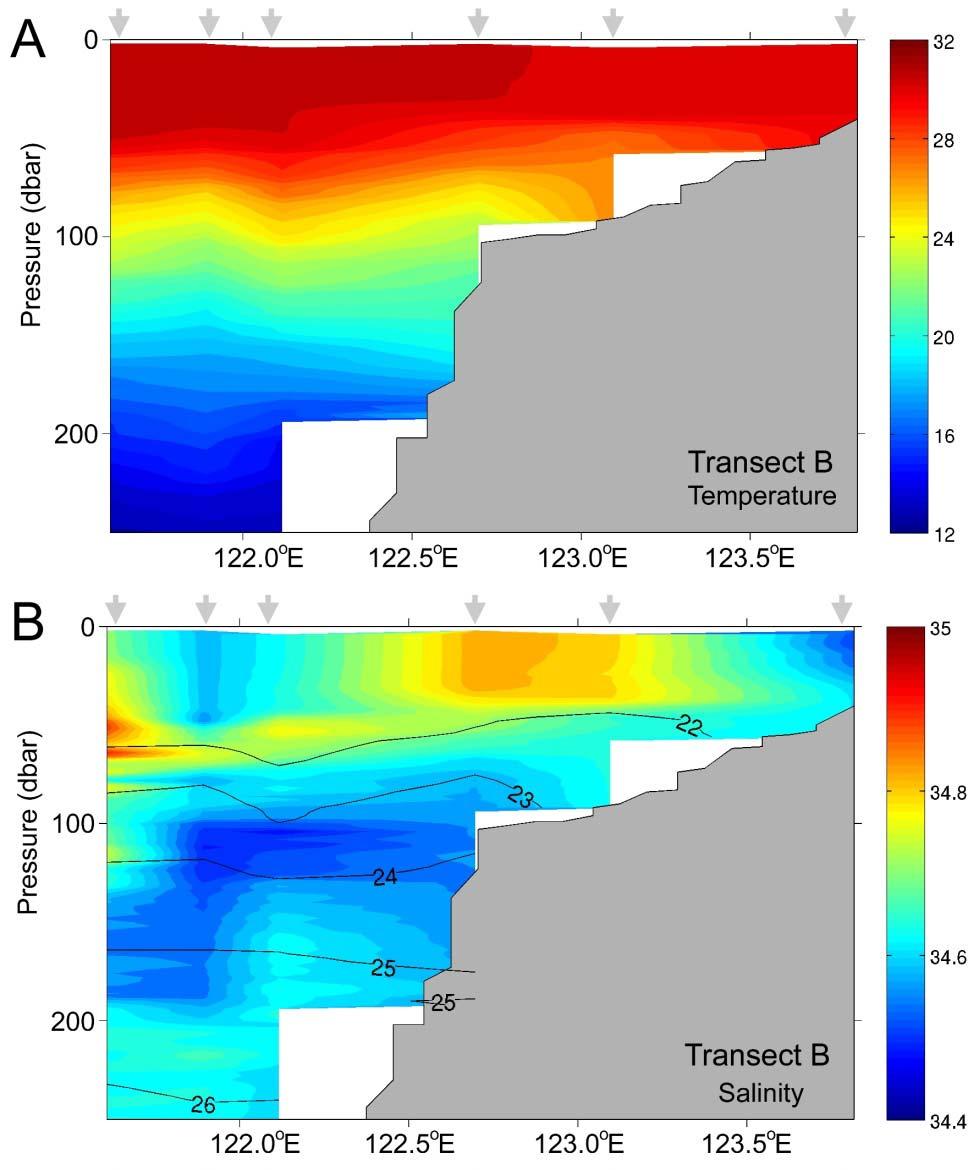 Temperature and salinity cross-section - Transect B Strong temperature stratification Warm