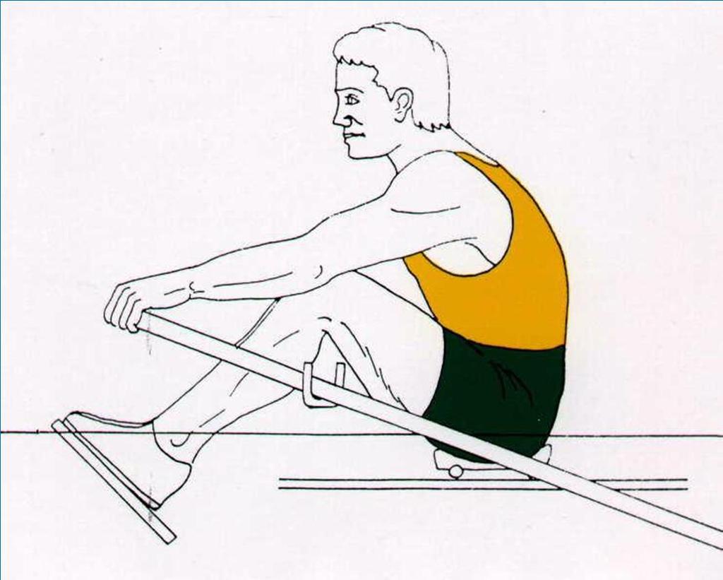 7. Mid Recovery Body swings forward of the hips, changing the weight from the centre to the front of the seat